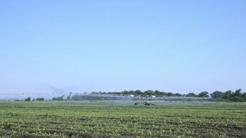 Irrigation system in operation sprays water across a green agricultural field Stock Footage 337827537