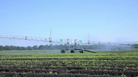 Irrigation system in operation sprays water across a green agricultural field Stock Footage 337827538