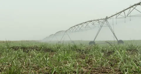 Irrigation system over field, Sierra Leone Vídeos de archivo 141430403