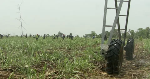 Irrigation system over field, Sierra Leone Stock-Footage 141430408