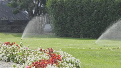 Irrigation system in the park Video stock 119815859