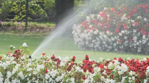 Irrigation system at the park Stock-Footage 119816127