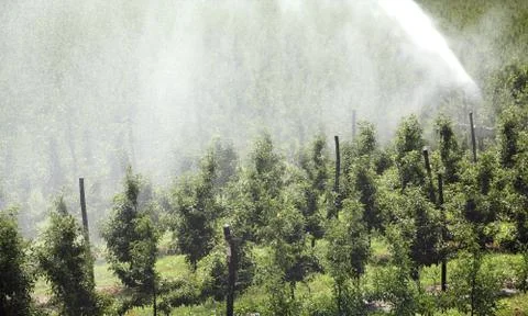 Irrigation system Stock Photos