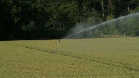 Irrigation system rain guns sprinkler on agricultural wheat field . Stock Footage 240185206
