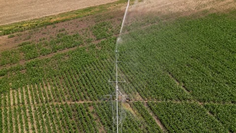 Irrigation system rain guns sprinkler on agricultural wheat field Stock Footage 248119680