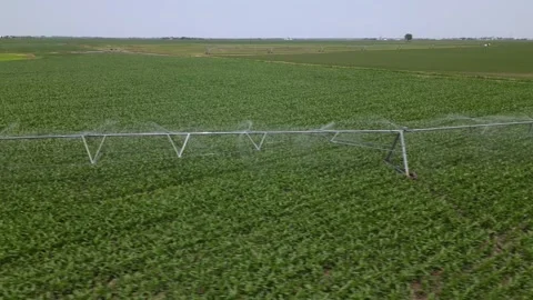 Irrigation system rain guns sprinkler on agricultural wheat field Stock Footage 248119772