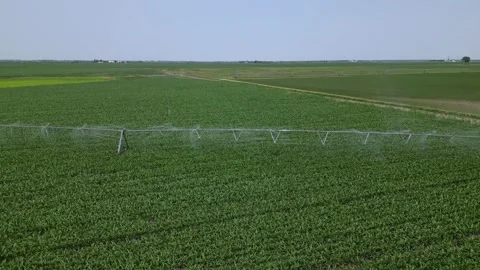 Irrigation system rain guns sprinkler on agricultural wheat field Stock Footage 248119783