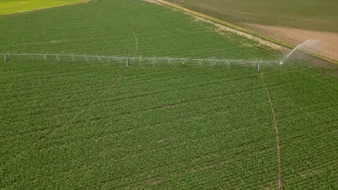 Irrigation system rain guns sprinkler on agricultural wheat field Stock Footage 248119787