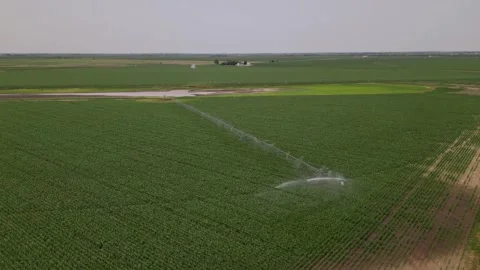 Irrigation system rain guns sprinkler on agricultural wheat field Stock Footage 248123285