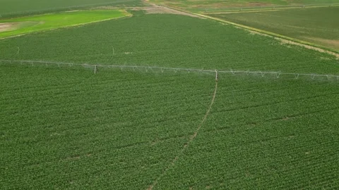 Irrigation system rain guns sprinkler on agricultural wheat field Stock Footage 248123287