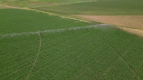 Irrigation system rain guns sprinkler on agricultural wheat field Stock Footage 248123288