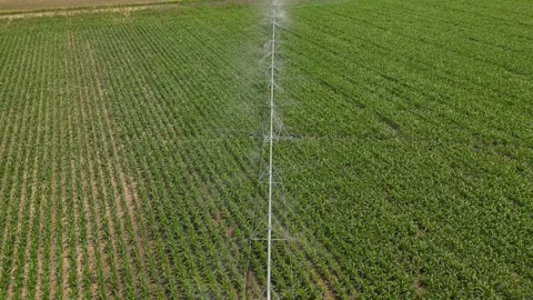Irrigation system rain guns sprinkler on agricultural wheat field Stock Footage 248123300