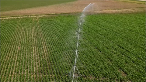 Irrigation system rain guns sprinkler on agricultural wheat field Stock Footage 248123318