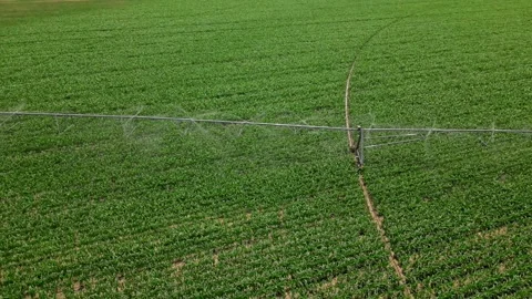 Irrigation system rain guns sprinkler on agricultural wheat field Stock Footage 248123341