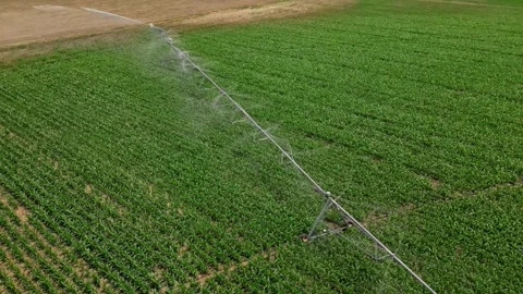 Irrigation system rain guns sprinkler on agricultural wheat field Stock Footage 248123343