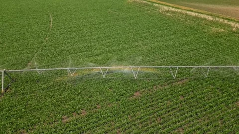 Irrigation system rain guns sprinkler on agricultural wheat field Stock Footage 248123368