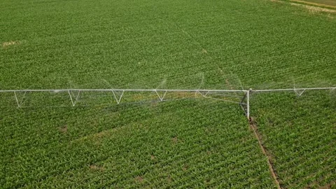 Irrigation system rain guns sprinkler on agricultural wheat field Stock Footage 248123369