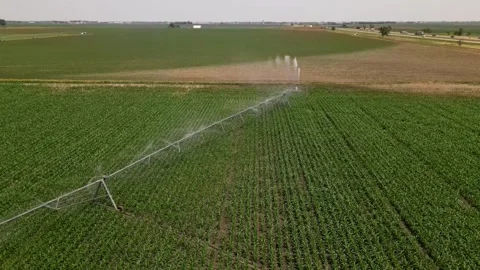 Irrigation system rain guns sprinkler on agricultural wheat field Stock Footage 248123374
