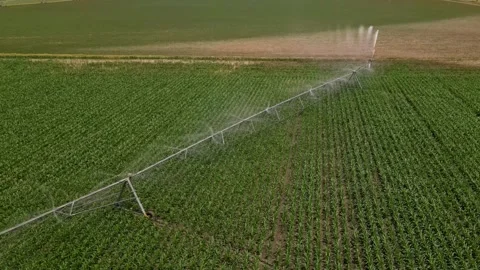 Irrigation system rain guns sprinkler on agricultural wheat field Stock Footage 248123376
