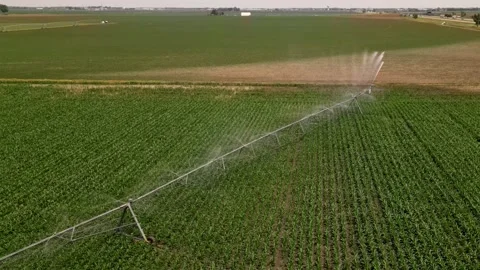 Irrigation system rain guns sprinkler on agricultural wheat field Stock Footage 248123393