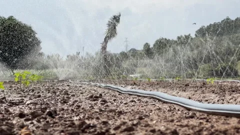 An irrigation system runs along the length of a garden bed, spreading water Vídeo Stock 327460506