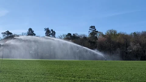 Irrigation system spraying water over lush green field Stock Footage 308564547