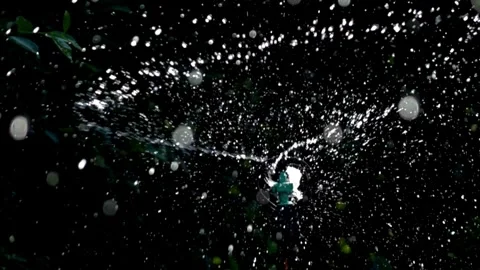 Irrigation System Spraying Water Over Growing Crop in a Field at Sunset Garden Video stock 334657699