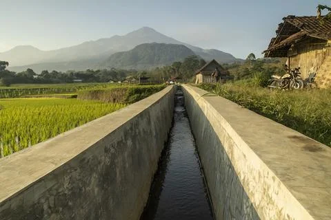 Irrigation system in terraced rice fields Foto stock