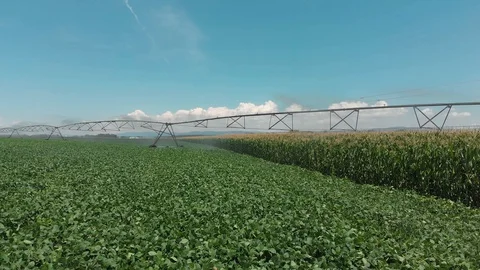 Irrigation system tracking shot Stock Footage 129505538