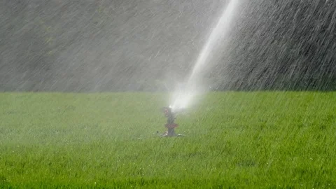 Irrigation system water on a green grass field Stock Footage 84785290