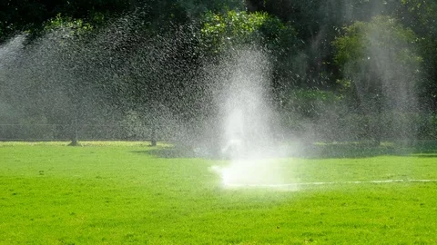 Irrigation system water on a green grass field Stock Footage 84786884
