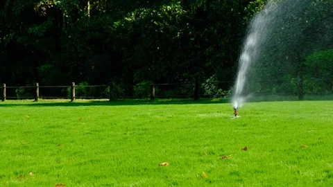 Irrigation system water on a green grass field Stock Footage 84787595