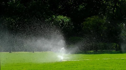 Irrigation system water on a green grass field Stock Footage 84787653