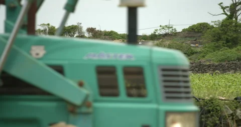 Irrigation system watering corn field, Jeju do, South Korea Video stock 141442070