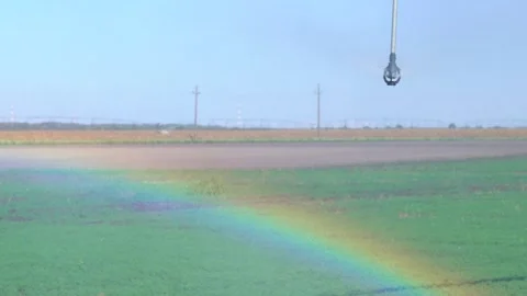 Irrigation system watering crops across a large fertile carrot field, creating Stock Footage 329650541