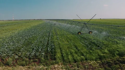 Irrigation system watering farmland. Smart agriculture eco Stock Footage