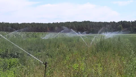 Irrigation system for watering fields	 Stock Footage 311931391