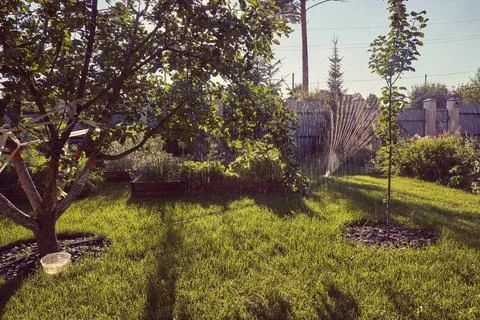 Irrigation system for watering the garden plot. Water saving or water saving due Stock Photos