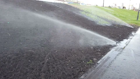 Irrigation System Watering the Trees 스톡 동영상 157265999