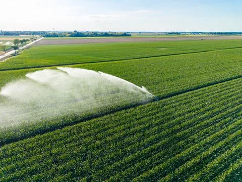 Irrigation system waters corn fields in rural area during sunny day Stock Photos