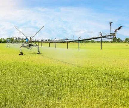 Irrigation system on wheels Foto stock