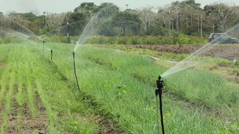 IRRIGATION SYSTEMS ON THE FARM Stock Footage 306694938
