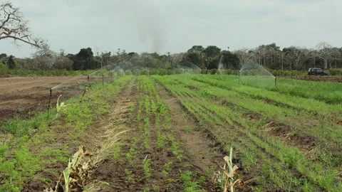 IRRIGATION SYSTEMS ON THE FARM Stock Footage 306694977