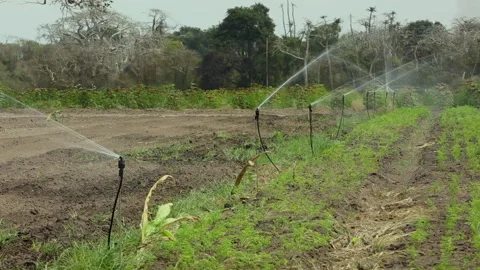 IRRIGATION SYSTEMS ON THE FARM Stock Footage 306694980