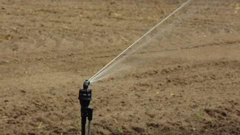 IRRIGATION SYSTEMS ON THE FARM Stock Footage 306694982