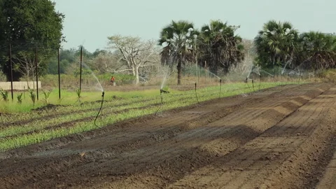 IRRIGATION SYSTEMS ON THE FARM Stock Footage 306695011