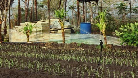 IRRIGATION SYSTEMS ON THE FARM Stock Footage 306695018