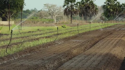 IRRIGATION SYSTEMS ON THE FARM Stock Footage 306695053