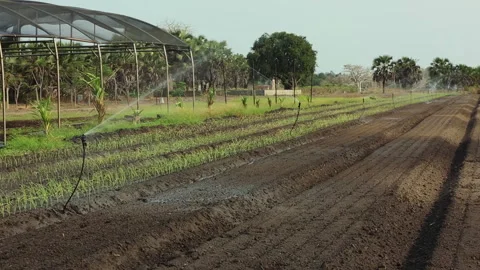 IRRIGATION SYSTEMS ON THE FARM Stock Footage 306695063