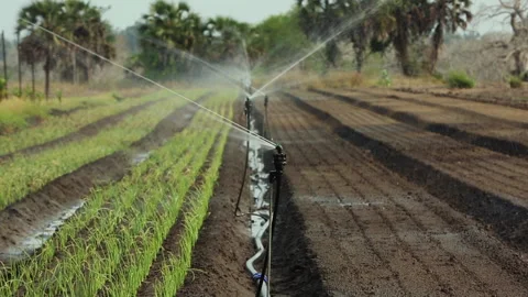 IRRIGATION SYSTEMS ON THE FARM Stock Footage 306695068